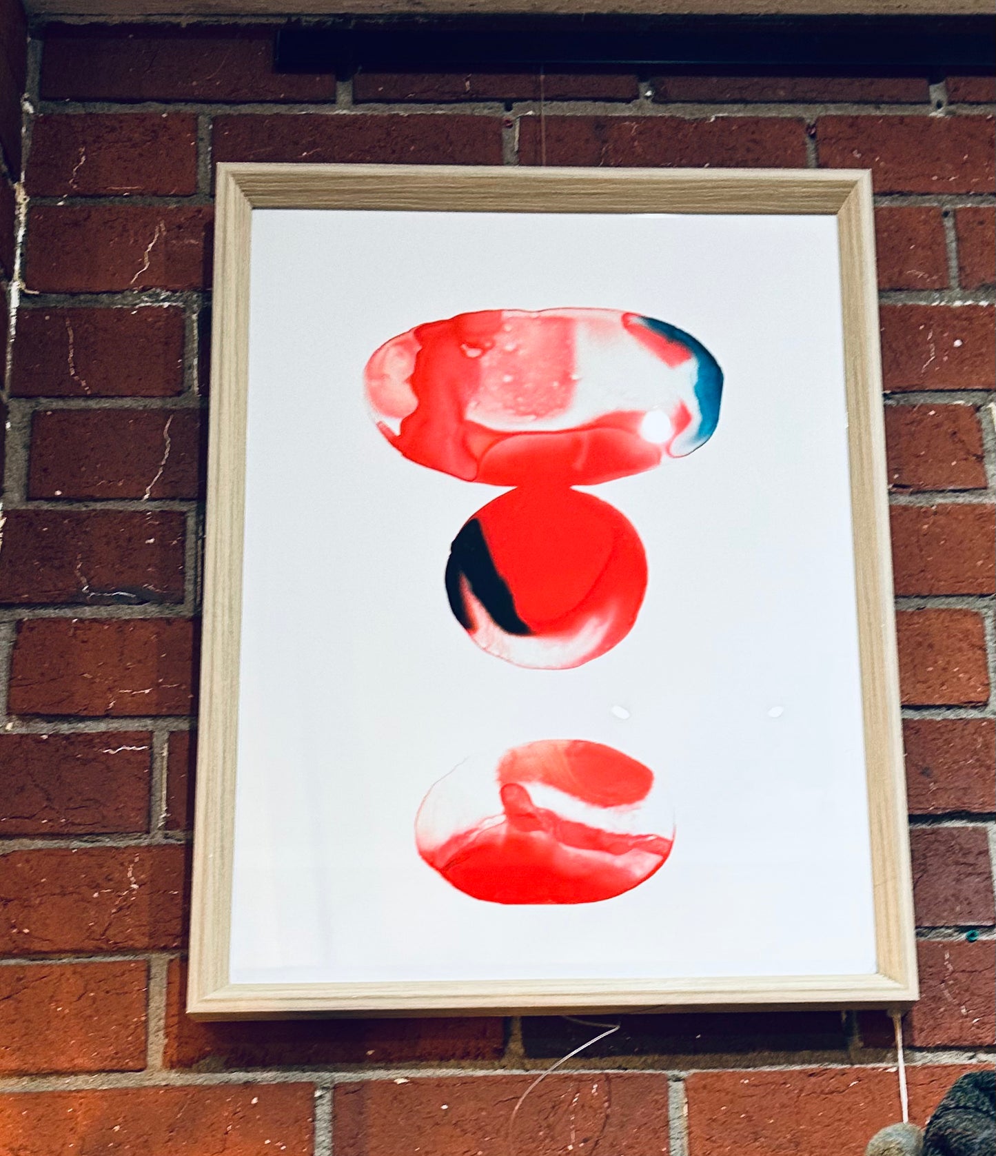 Framed Print - maja gunnarsdottir - Eno (1/3)