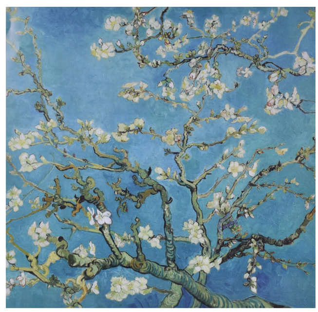 Vincent van Gogh - Almond Branches in Bloom, San Remy