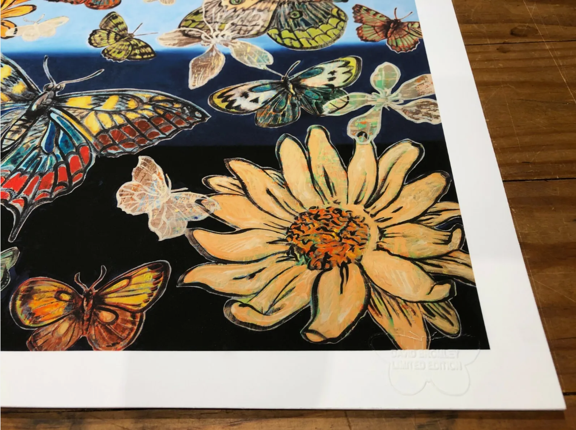 David Bromley - Summer Butterflies FRAMED (signed in plate)