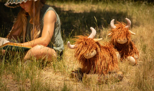 Heidi the Highland Cow