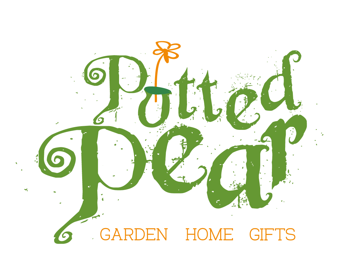 Potted Pear